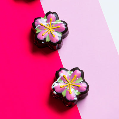 Chocolate Sakura Flower Collection 🍫🌸