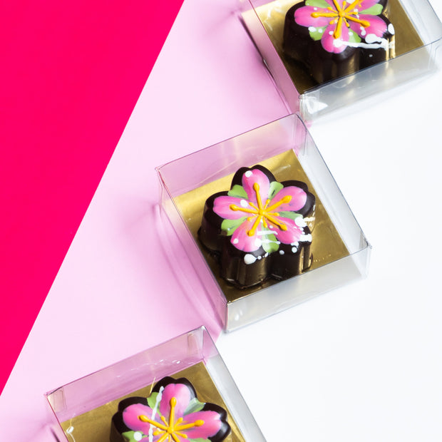 Chocolate Sakura Flower Collection 🍫🌸